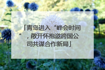 青岛进入“峰会时间”，敞开怀抱邀跨国公司共谋合作新局