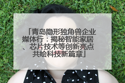 青岛隐形独角兽企业媒体行：揭秘智能家居、芯片技术等创新亮点 共绘科技新篇章