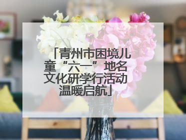 青州市困境儿童“六一”地名文化研学行活动温暖启航