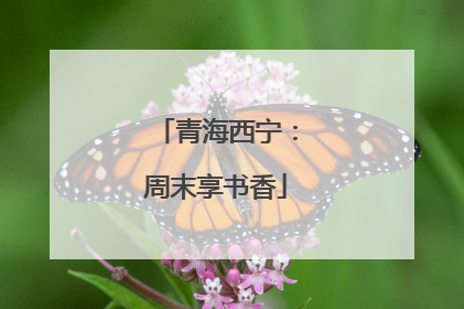 青海西宁：周末享书香