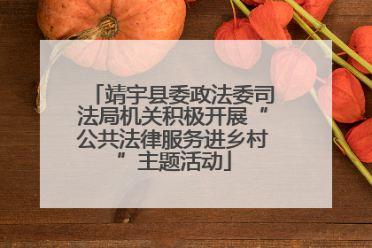 靖宇县委政法委司法局机关积极开展“公共法律服务进乡村”主题活动