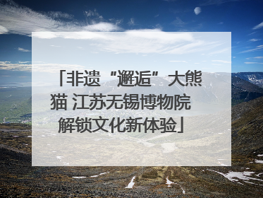 非遗“邂逅”大熊猫 江苏无锡博物院解锁文化新体验