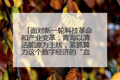 面对新一轮科技革命和产业变革，青海以清洁能源为主线，紧抓算力这个数字经济的“血液”、科技主权的“筹码”、产业升级的“杠杆”、绿色转型的“支点”，勇于撬动国家“双碳”战略、“东数西算”工程重大发展新机遇