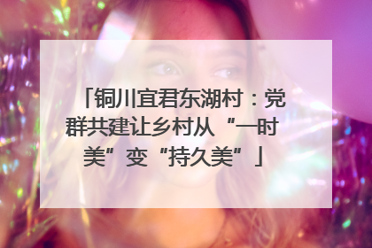 铜川宜君东湖村：党群共建让乡村从“一时美”变“持久美”
