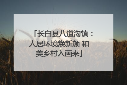 长白县八道沟镇：人居环境焕新颜 和美乡村入画来