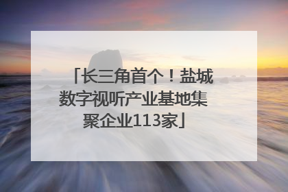 长三角首个！盐城数字视听产业基地集聚企业113家
