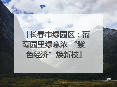 长春市绿园区：葡萄园里绿意浓 “紫色经济”焕新枝
