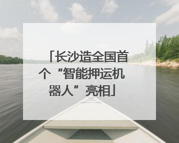 长沙造全国首个“智能押运机器人”亮相
