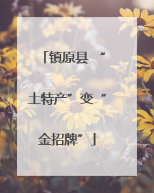镇原县 “土特产”变“金招牌”