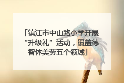 镇江市中山路小学开展“升级礼”活动，覆盖德智体美劳五个领域