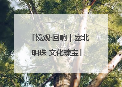 镜观·回响｜塞北明珠 文化瑰宝