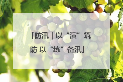 防汛｜以“演”筑防 以“练”备汛