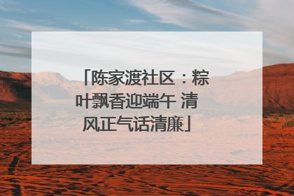陈家渡社区：粽叶飘香迎端午 清风正气话清廉
