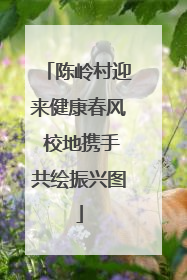 陈岭村迎来健康春风 校地携手共绘振兴图