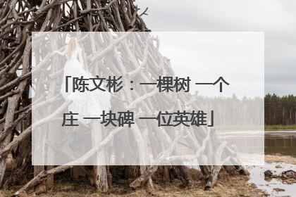 陈文彬：一棵树 一个庄 一块碑 一位英雄