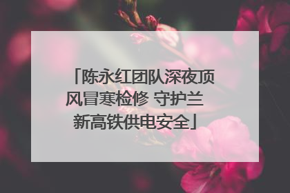陈永红团队深夜顶风冒寒检修 守护兰新高铁供电安全