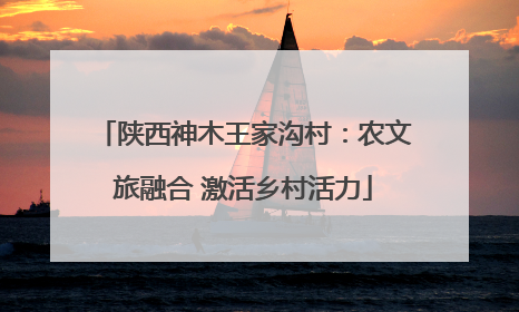 陕西神木王家沟村：农文旅融合 激活乡村活力