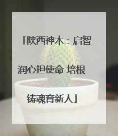 陕西神木：启智润心担使命 培根铸魂育新人