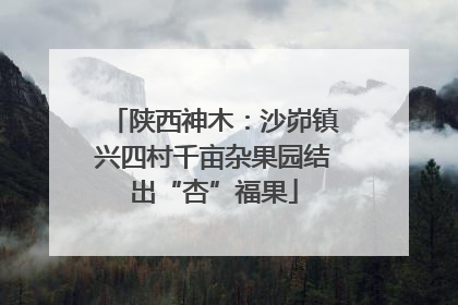陕西神木：沙峁镇兴四村千亩杂果园结出“杏”福果
