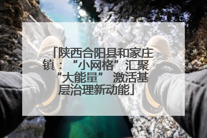 陕西合阳县和家庄镇：“小网格”汇聚“大能量” 激活基层治理新动能