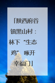 陕西府谷镇黑山村：林下“生态鸡” 啄开幸福门
