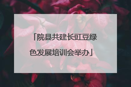 院县共建长豇豆绿色发展培训会举办