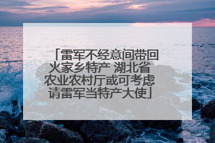 雷军不经意间带回火家乡特产 湖北省农业农村厅或可考虑请雷军当特产大使