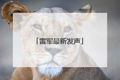 雷军最新发声