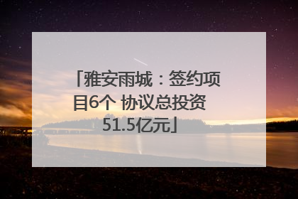 雅安雨城：签约项目6个 协议总投资51.5亿元