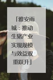雅安雨城：推动生猪产业实现规模与效益双重跃升