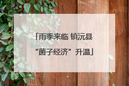 雨季来临 镇沅县“菌子经济”升温