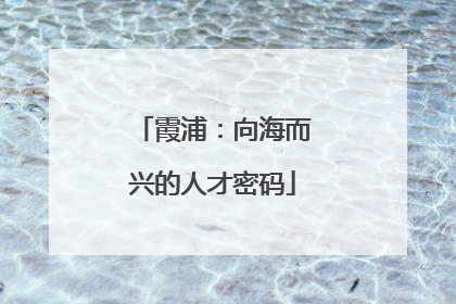 霞浦：向海而兴的人才密码