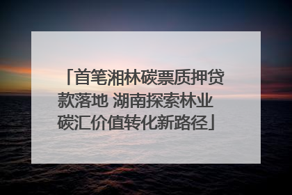 首笔湘林碳票质押贷款落地 湖南探索林业碳汇价值转化新路径