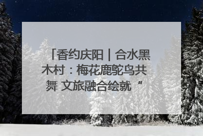 香约庆阳｜合水黑木村：梅花鹿鸵鸟共舞 文旅融合绘就“诗与远方”