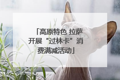 高原特色 拉萨开展“过林卡”消费满减活动