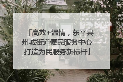 高效+温情，东平县州城街道便民服务中心打造为民服务新标杆