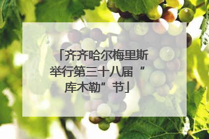 齐齐哈尔梅里斯举行第三十八届“库木勒”节