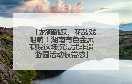 龙狮跳跃、花鼓戏唱响！湖南有色金属职院这场沉浸式非遗游园活动很带感