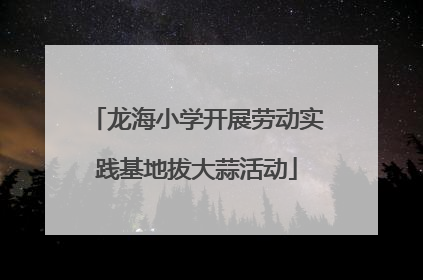 龙海小学开展劳动实践基地拔大蒜活动