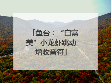 鱼台：“白富美”小龙虾跳动增收音符