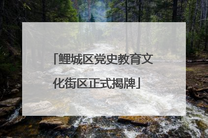 鲤城区党史教育文化街区正式揭牌