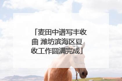麦田中谱写丰收曲 潍坊滨海区夏收工作圆满完成
