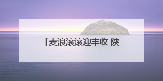 麦浪滚滚迎丰收 陕西麦收进度过七成