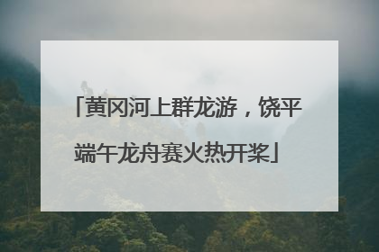 黄冈河上群龙游，饶平端午龙舟赛火热开桨