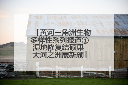黄河三角洲生物多样性系列报道①湿地修复结硕果 大河之洲展新颜