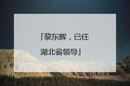 黎东辉，已任湖北省领导