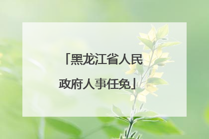 黑龙江省人民政府人事任免