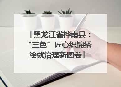 黑龙江省桦南县：“三色”匠心织锦绣 绘就治理新画卷