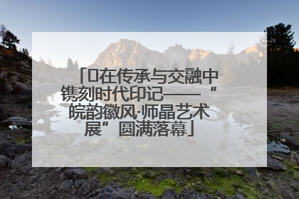 ﻿在传承与交融中镌刻时代印记——“皖韵徽风·师晶艺术展”圆满落幕