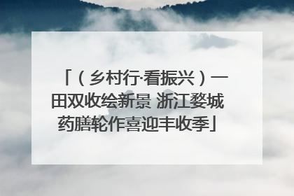 （乡村行·看振兴）一田双收绘新景 浙江婺城药膳轮作喜迎丰收季